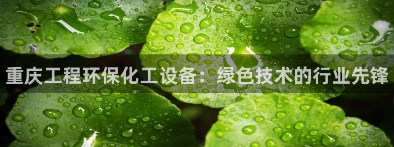 天辰平台注册登录地址：重庆工程环保化工设备：绿色技